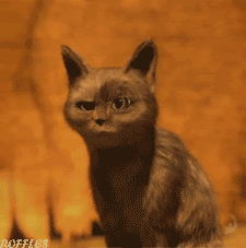 Puss-In-Boots-Oooh-Cat-Reaction-Gif.gif
