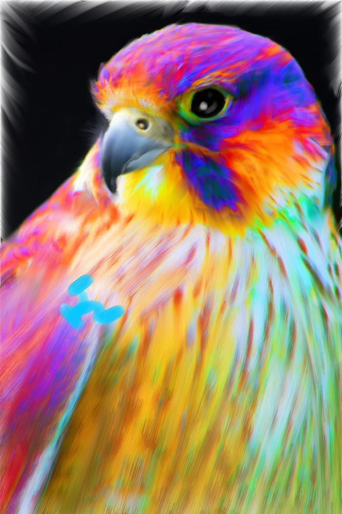 rainbow_falcon_by_masterev1l.jpg