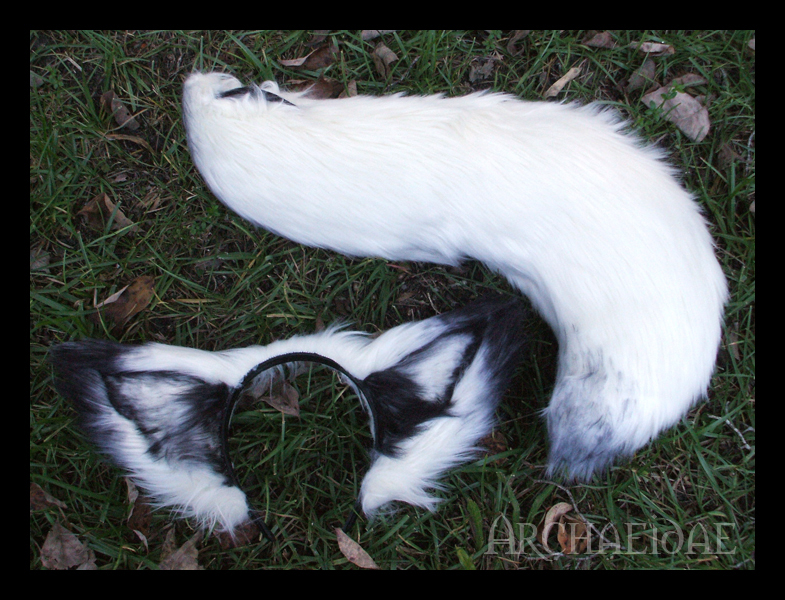 arctic_fox_ears_and_tail_by_archaeidae-d37izxs.jpg