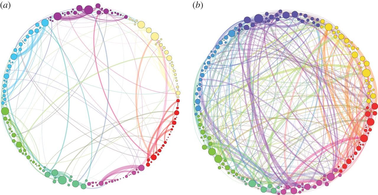 shrooms-brain-networks.jpg