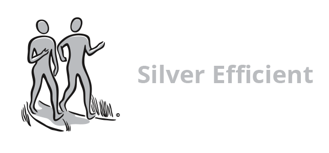 silver-efficiency.png