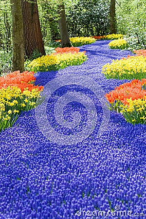 field-spring-flowers-5071192.jpg