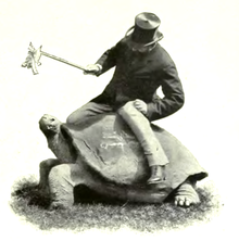 220px-RothschildTortoise.png