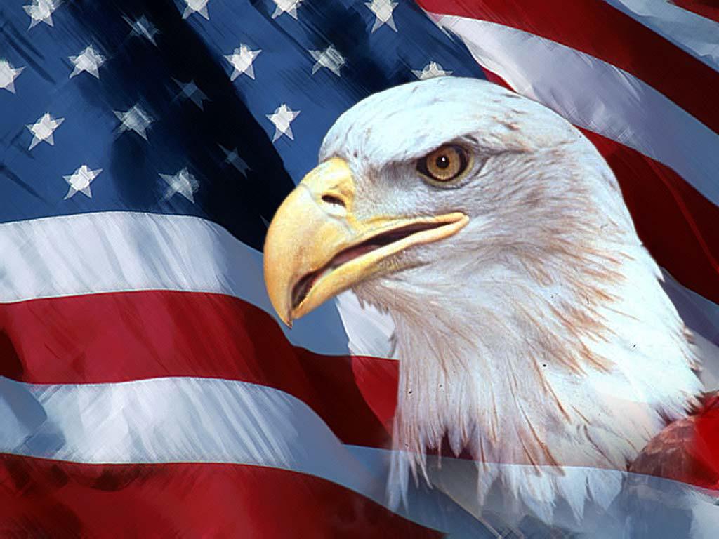 american-eagle.jpg