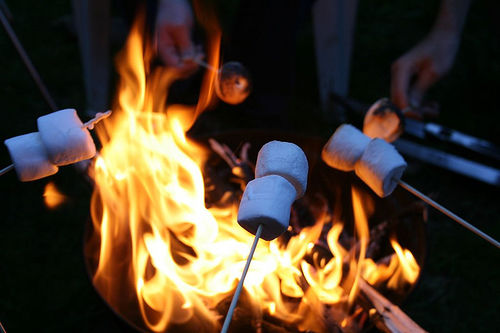 229498-Marshmallows-By-The-Fire.jpg