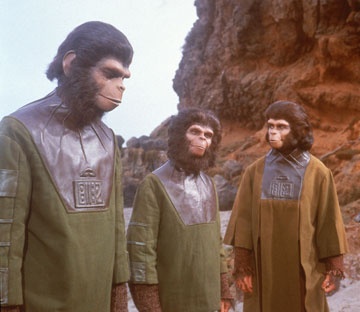 apes-trio.jpg
