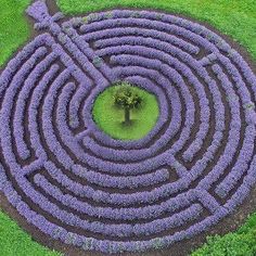 labyrinth-of-life-walk.jpg
