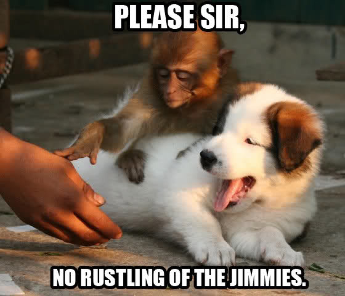 PLEASE-SIR-NO-RUSTLING-OF-THE-JIMMIES-20120923-142059.jpg