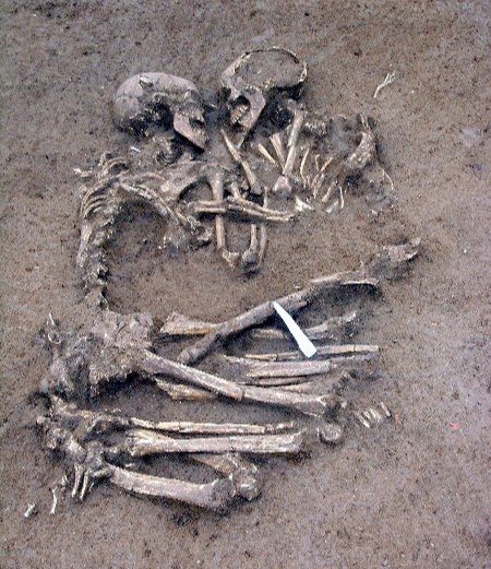 4e464f2dd3711328dec8913496ff5448--love-never-dies-human-skeleton.jpg