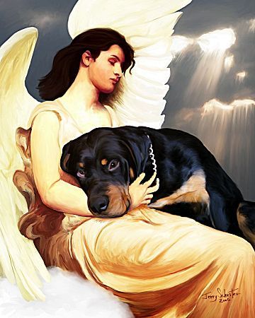 ae86b7925a86f3eda208656a395b389c--guardian-angels-rottweiler-dog.jpg