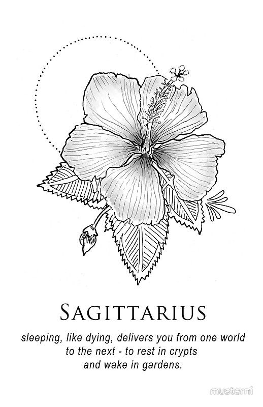 af9371c93fde64f41bafbb7d2cee7158--shitty-horoscopes-sagittarius-sagittarius-tattoos.jpg