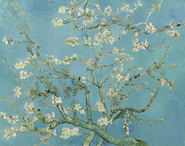 Almond-Blossom-1890-Vincent-Van-Gogh.jpg