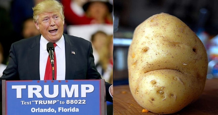 trump-potato.jpg