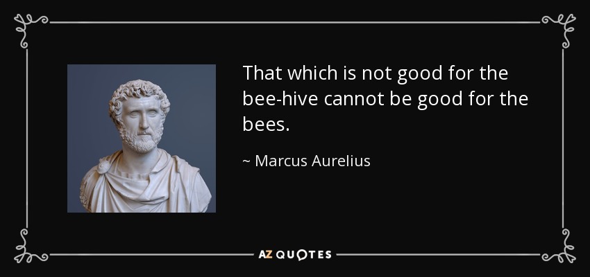 quote-that-which-is-not-good-for-the-bee-hive-cannot-be-good-for-the-bees-marcus-aurelius-1-30-63.jpg