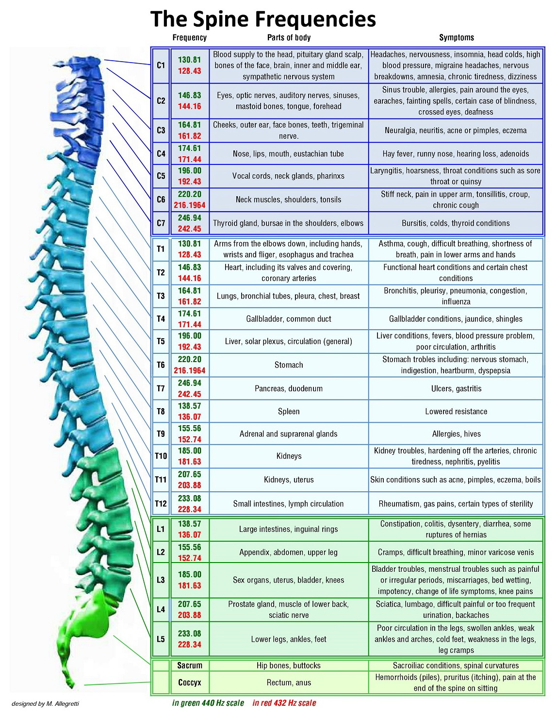 The-Spine-Frequencies_1.jpg
